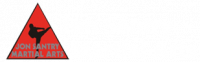 Jon Santry Martial Arts